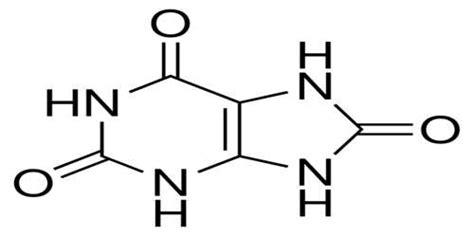 Uric Acid - Assignment Point