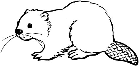 Free Beaver Coloring Pages