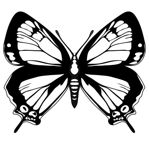 Butterfly black and white butterfly clip art black and white clipart 2 ...