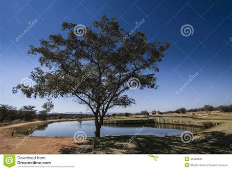 African landscape stock photo. Image of rocks, stone - 41498936