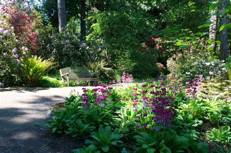 Spotlight: Milner Gardens & Woodland - British Columbia Magazine