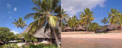 Expert Guide On Malindi In Eastern Kenya - AfricanMecca Safaris