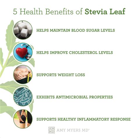 What Are the Benefits of Stevia Leaf | Amy Myers MD