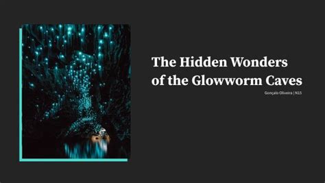 The Glowworm Caves