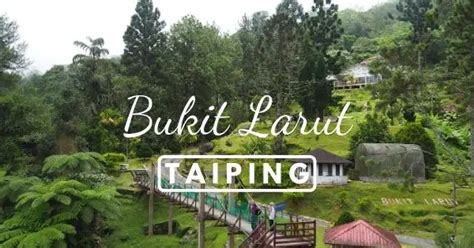 Bukit Larut (Maxwell Hill) – Hidden Gem In Taiping For Nature Lovers