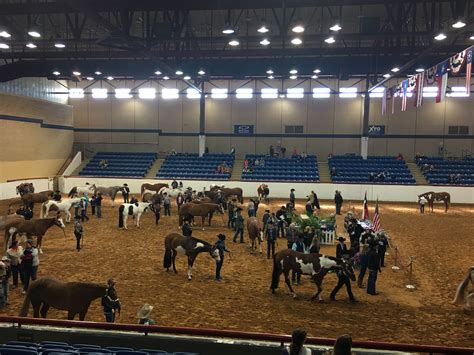 Fort Worth Stock Show & Rodeo: An Inside Look at the Oldest Stock Show ...