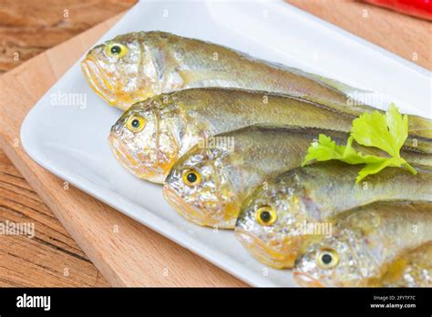 Yellow Croaker Fish Stock Photo - Alamy