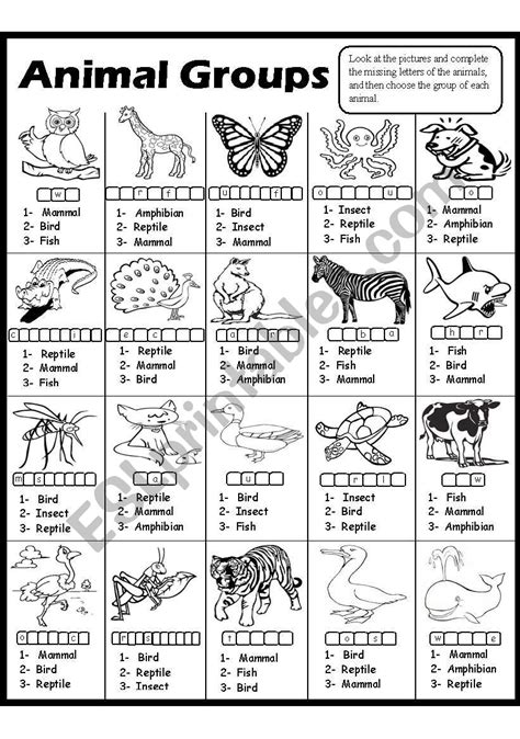 Animal Groups-2 - ESL worksheet by Amna 107