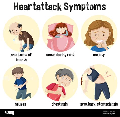 Heart attack Symptoms Information Infographic Stock Vector Image & Art ...