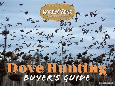 Dove Hunting Buyer's Guide - Gordy & Sons Outfitters