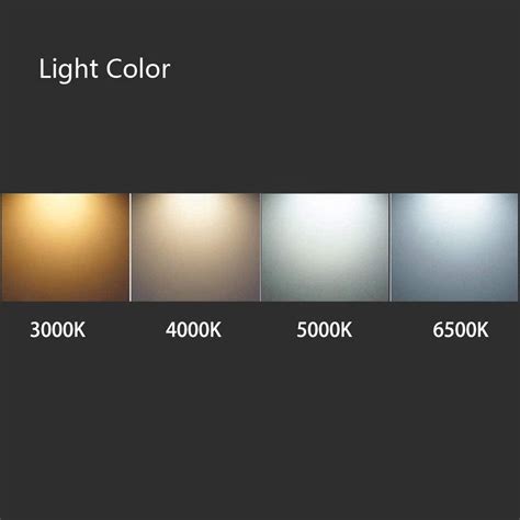 5000K Vs 6500K : What is kelvin color different species use light ...