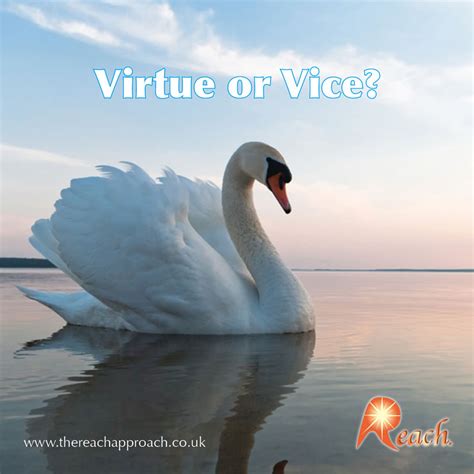 Virtue or Vice? – The Reach Approach