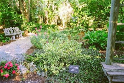 Savannah Botanical Gardens is one of the very best things to do in Savannah