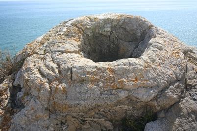 The Fossil Forest, Lulworth Cove, Dorset - www.dorsetcamper.com