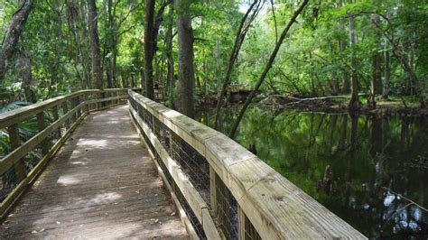 Hiking Prairie Creek Boardwalk | Paynes Prairie biking | Florida Hikes