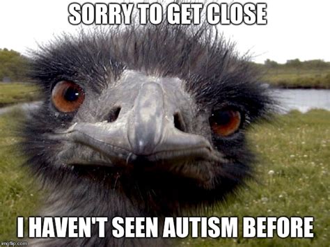 Emu face Memes - Imgflip