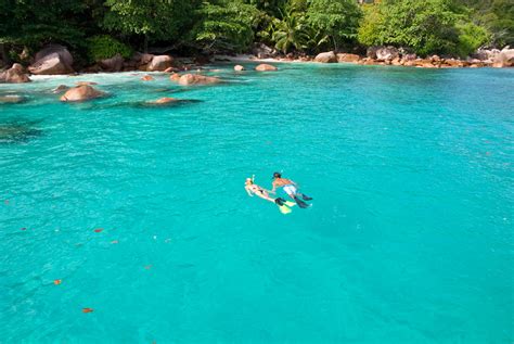 Snorkeling in Seychelles | Spectacular Marine Life, Clear Waters