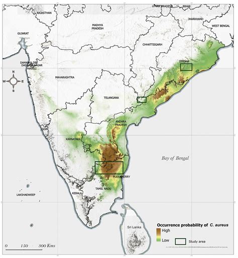 Goldmines Revealed - Field Stories from Indian Golden Gecko Habitats