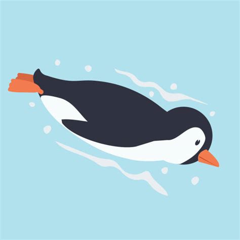 230+ Penguin Swimming Underwater Stock Illustrations, Royalty-Free ...