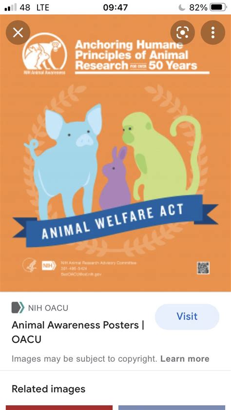 Animal welfare | Awareness poster, Animals, Awareness