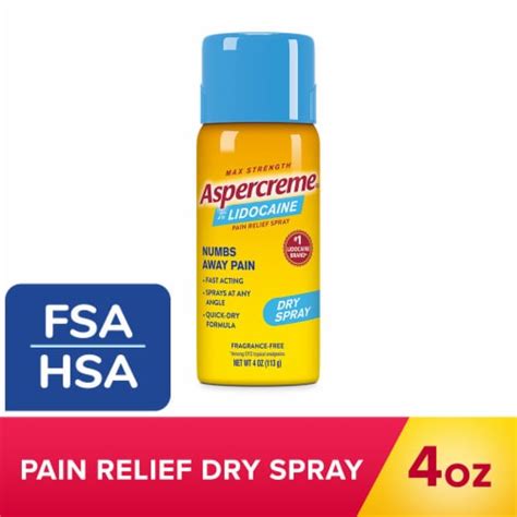 Aspercreme Lidocaine Pain Relief Odor Free Dry Spray, 4 oz - Ralphs