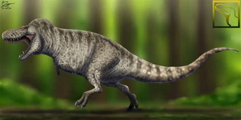 Tyrannosaurus mcraeensis w/BG by V3sk0 on DeviantArt