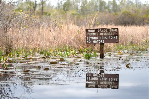 Okefenokee Swamp Overnight Camping Permit Process - WILLIAM WISE ...