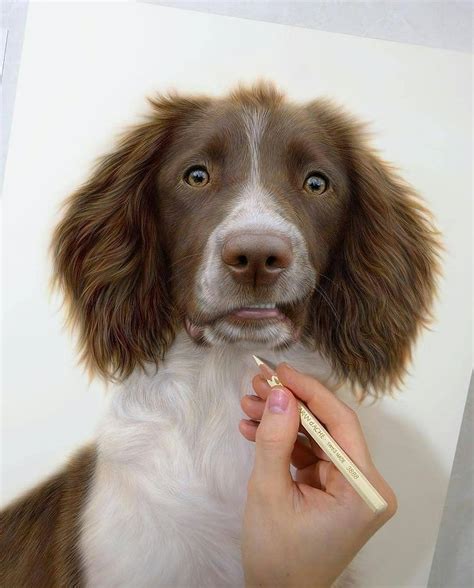 Super realistic dog drawing : r/BeAmazed