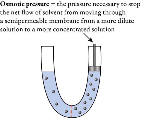 Osmosis