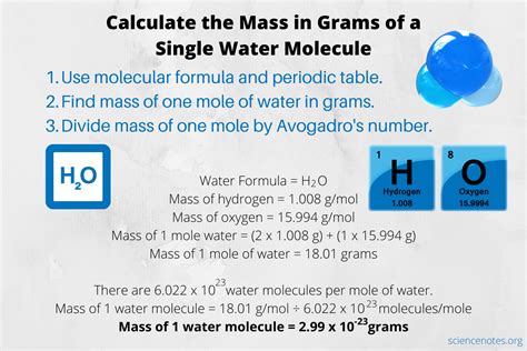 Calculate the Mass in Grams of a Single Water Molecule