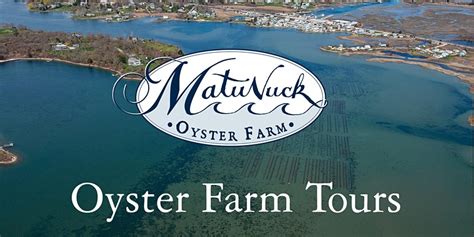 Tour Matunuck Oyster Farm with Friends! | Things To Do In RI | RI Events