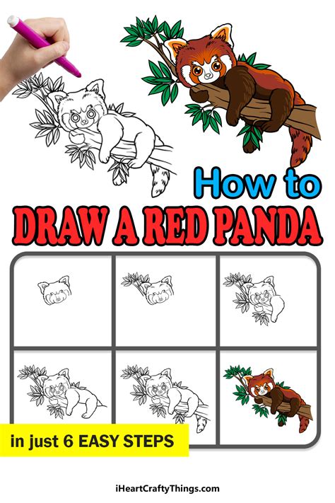 Red Panda Drawings Cartoon