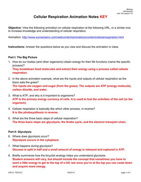 worksheet. Cellular Respiration Worksheet Answer Key. Grass Fedjp ...