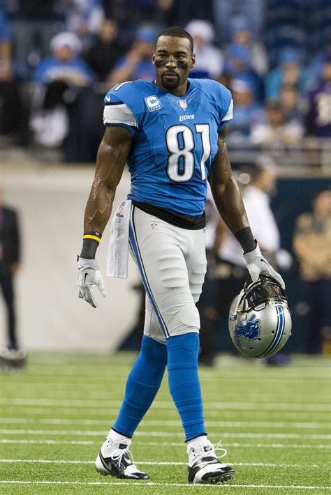 DETROIT, MI - DECEMBER 16: Wide receiver Calvin Johnson #81 of the ...