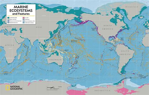 Extreme Marine Ecosystems