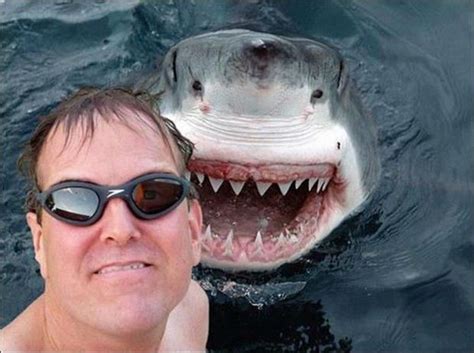 Funniest Photobombs Of The Week! - 25 Pics | Funny animals, Animal ...