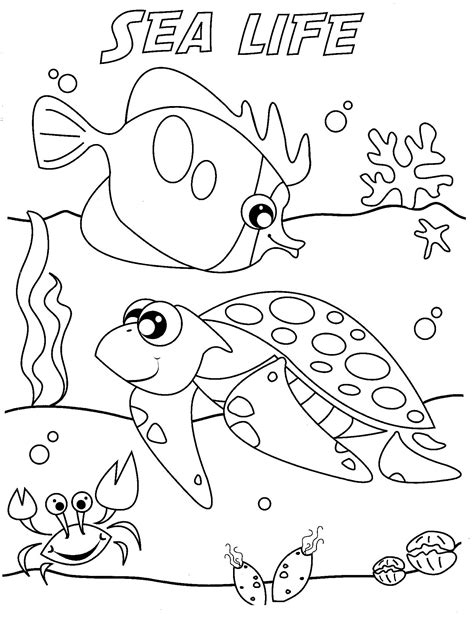 Sea life coloring pages to download and print for free