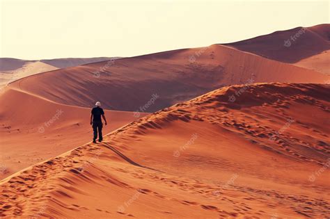 Premium Photo | Sand dunes in namib desert