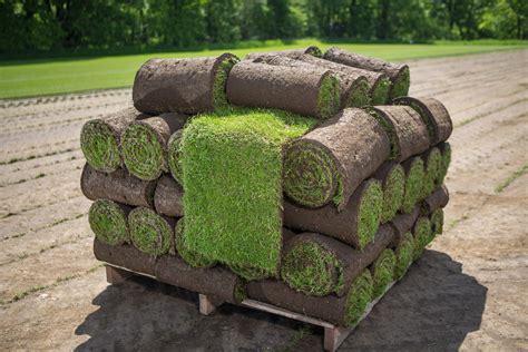 Quality grass turf suppliers in the UK - Rollaturf