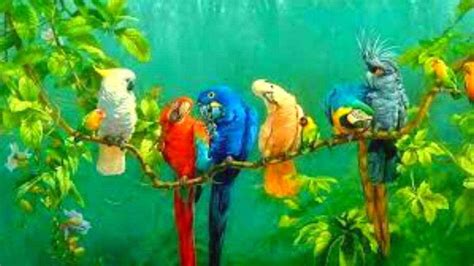 Optical Illusion: Finding the hidden parrot is super easy and super fun ...