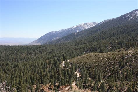 Download free photo of Mountains,forest,nature,nevada,scenery - from ...