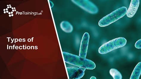 Types of Infections | Infection Control for Healthcare Level 2 (VTQ ...