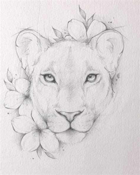 Lioness Face Outline