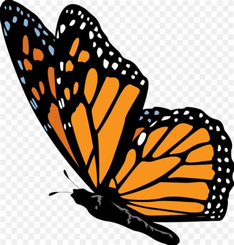 Free Monarch Butterfly Clipart