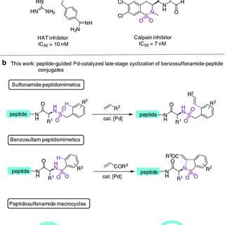 Synthesis of peptidomimetics containing aryl sulfonamide motif. a ...