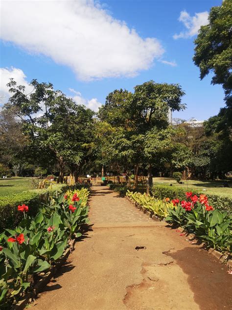 Things to do in Harare – Frugal Travela