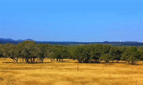 Pipe Creek, TX - Local Food Businesses - TexasRealFood