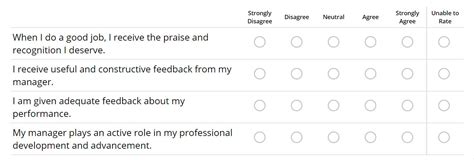 Survey Rating Scale Examples 1 5