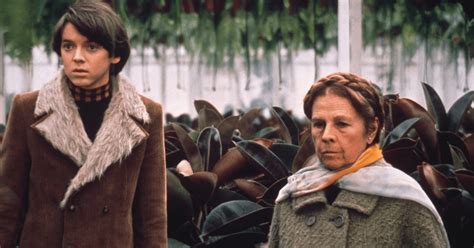 The Best 'Harold and Maude' Quotes, Ranked By Fans