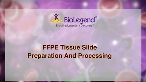 FFPE Tissue Slide Preparation and Processing | Technology Networks